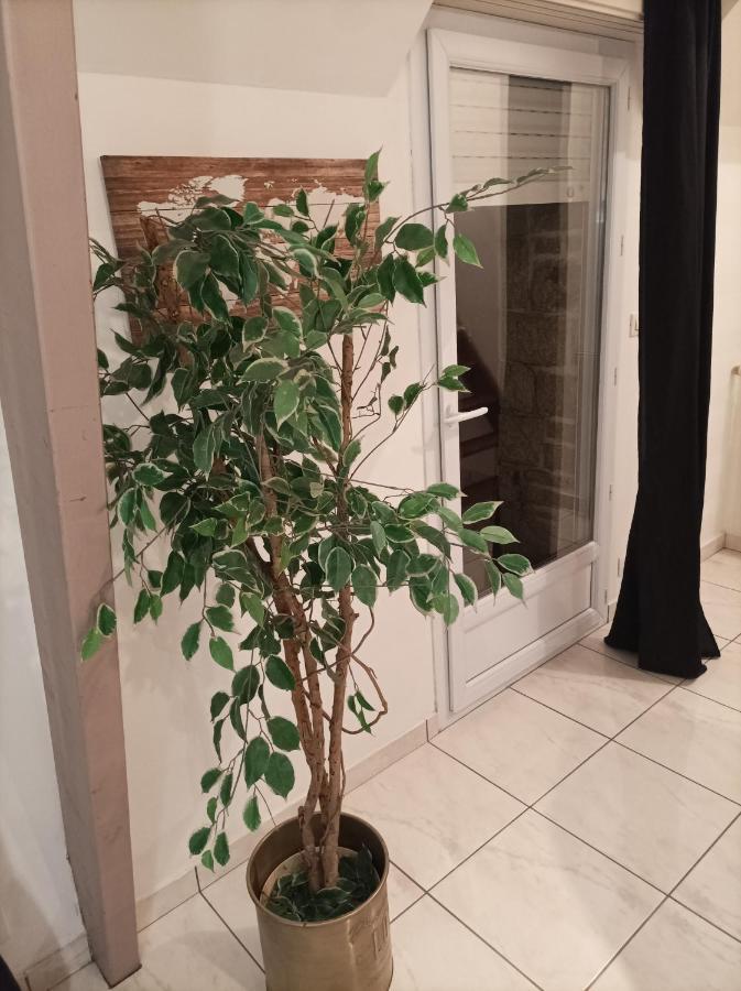 Apartment Schumann Balcon